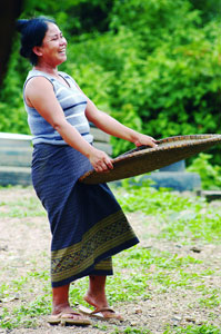 Vilabouly villager is preparing rice